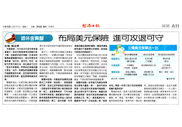 布局美元保險 進可攻退可守